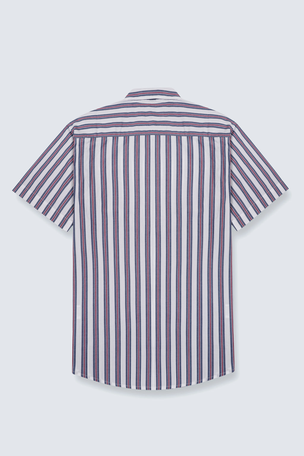 Vivid Stripe Half Sleeve Shirt | Summer Cotton – The Klor
